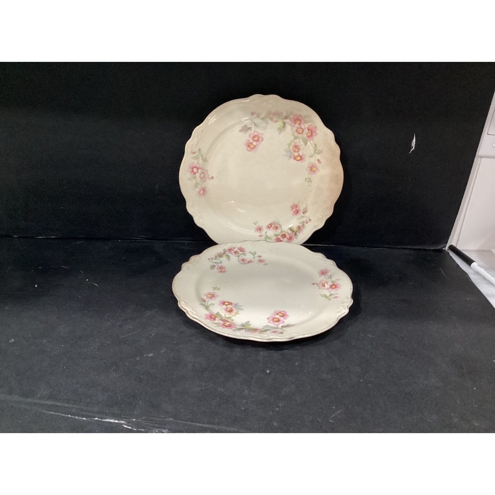 Vtg Set of 2 Homer Laughlin Virginia Rose Dinnerware USA Dinner Plates Floral *